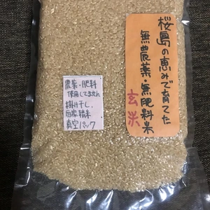 桜島の恵みで育てた無農薬無肥料、除草剤不使用の玄米と白米ヒノヒカリ