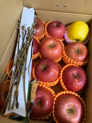 みんなの投稿の画像