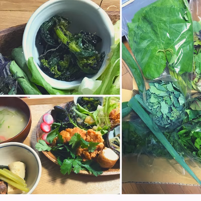 みんなの投稿の画像