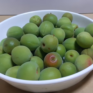 ※送料無料（規格外品）青梅(鶯宿）サイズ混合、梅ジュースなど加工用　