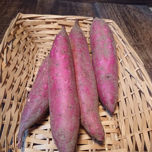 サツマイモ【シルクスイート】　900ｇ入り（4～7個）　【農薬不使用】　