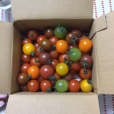 みんなの投稿の画像