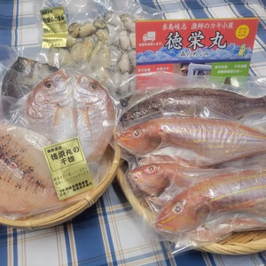 【7周年福袋】魚に牡蠣に糸島ざんまいセット♪