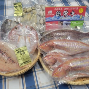 【7周年福袋】魚に牡蠣に糸島ざんまいセット♪ 