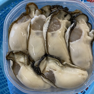 岩手の牡蠣は今が旬！『ザキヤマ水産の大粒剥き身牡蠣』