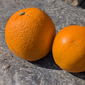 ★希少な国産完熟ネーブル★〜濃厚な甘みと溢れる果汁〜