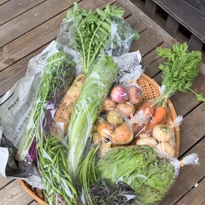 お日さまと大地の力で育った、農家お任せ旬の野菜セット❤️