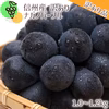 【先行予約】訳ありナガノパープル1.0～1.2kg（２～３房）皮ごと食べる！