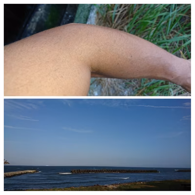 みんなの投稿の画像