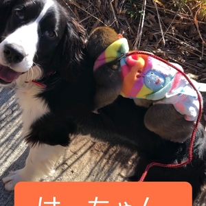 はーちゃん様専用です。