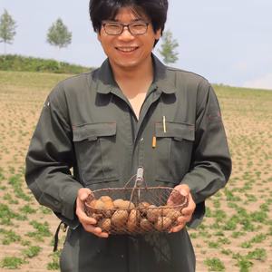 【北海道上富良野産】ほくほく美味しい♪ 新じゃがいも キタアカリ 1.2kg
