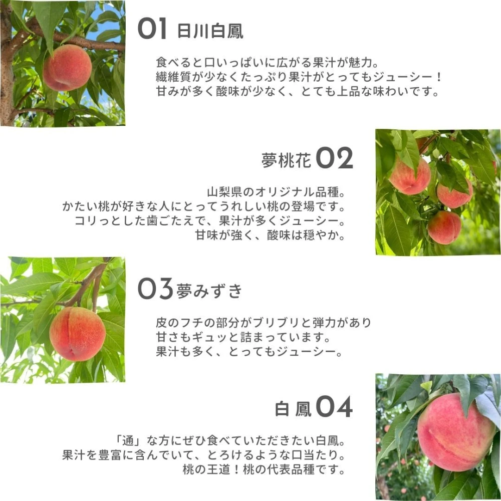 ファクトリーアウトレット 山梨県産朝採れ硬い桃 山梨県産アウトレット桃 30