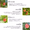 【8月上旬】山梨市からお届け「三十屋」の木熟桃(3kg 9-11玉)