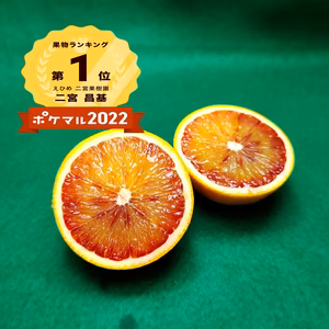 タロッコ　ブラッドオレンジ　タイムセール