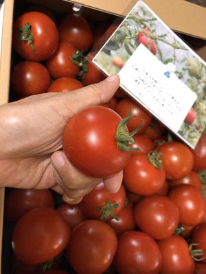 みんなの投稿の画像