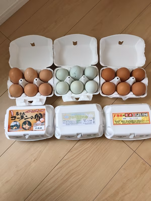 みんなの投稿の画像