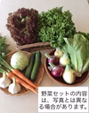 季節の野菜セット  無農薬・化学肥料“不使用”