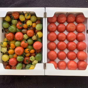 黒木園芸のジュエリー＆セレブスイート