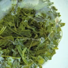 【2026年 新茶】京都・舞鶴 煎茶（50g）