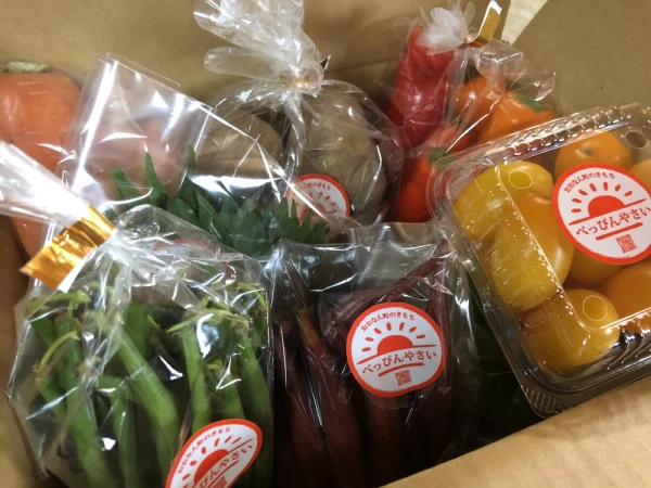 【旬のお野菜が届きます♬農カード入り】自然栽培べっぴんやさいお楽しみBOX