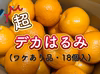 超・デカはるみ（ワケあり品・18個入）