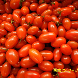 【訳あり】　新鮮☆　フルーツミニトマト「スパルタ生まれのひみこ」 2kg