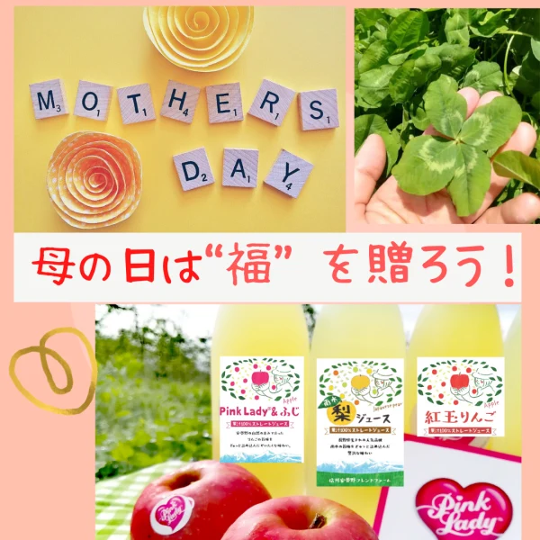 【母の日ギフト】花 クローバー付☆キャラメル芋＆ジュース