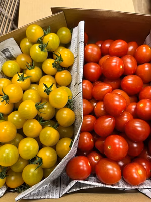 みんなの投稿の画像