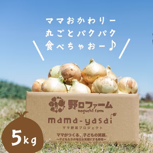 【ちょぴり訳あり】子どもたちが丸ごと食べちゃう♪春の新たまねぎ