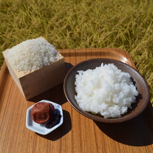 Tomoさん用【新米】R5年産　新潟県長岡市産コシヒカリ（精米）特別栽培米