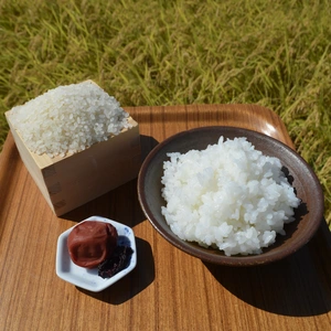 【新米】R5年産　新潟県長岡市産コシヒカリ（精米）特別栽培米