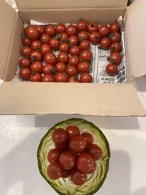 みんなの投稿の画像