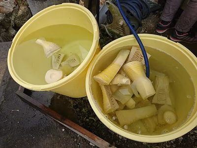 みんなの投稿の画像