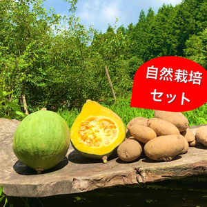 去年の売れ筋＂No. 1＂ かぼちゃとじゃがいものセット！【限定販売】無農薬野菜