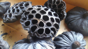 o0960054013762090913