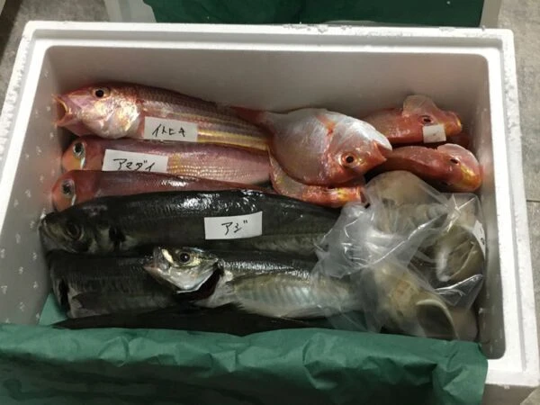 漁師セット❗️❗️ 季節の魚　2〜３人前♪