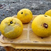 自然栽培　家庭用　文旦(ブンタン)