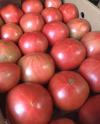 【訳あり】旨味がぎゅっと詰まった桃太郎トマト