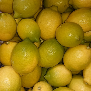 国産☆レモン☆リスボンレモン☆3.5kg