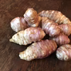 【自然栽培】赤紫フランス菊芋★農薬・肥料不使用｜きくいも｜キクイモ