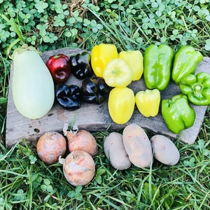 【お試し】すべて農薬不使用の旬の野菜セット✨【数量限定】 ミニトマト1kgセット