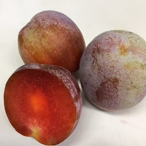 【7月発送】完熟度で味が違う！山梨県産ソルダム（プラム）2Ｌ×２箱