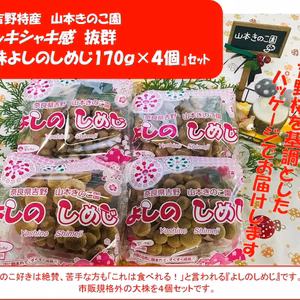 新鮮シャキシャキ『大株よしのしめじ』170ｇ×４個セット　奈良吉野産　おまけ付