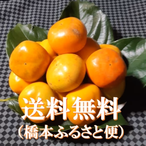 秋の香り たねなし柿(刀根早生)とても小さいサイズ・ご家庭用(約20個入り）