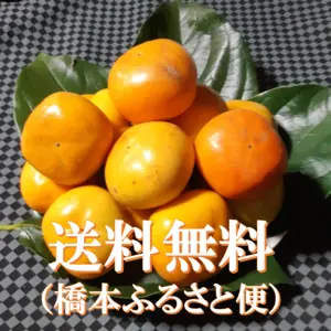 秋の香り たねなし柿(刀根早生)とても小さいサイズ・ご家庭用(約20個入り）