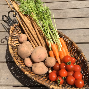 野菜セット