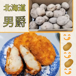 【北海道産じゃがいも】ホクホクで美味しさバツグンの「男爵」　Ｌ〜Ｍ混み