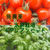 バジル&トマトのイタリアンセット