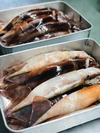 肝付きスルメイカ自家製魚醤干し！500g(2〜3枚)