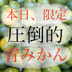 9月24日限定　青みかん　2kg